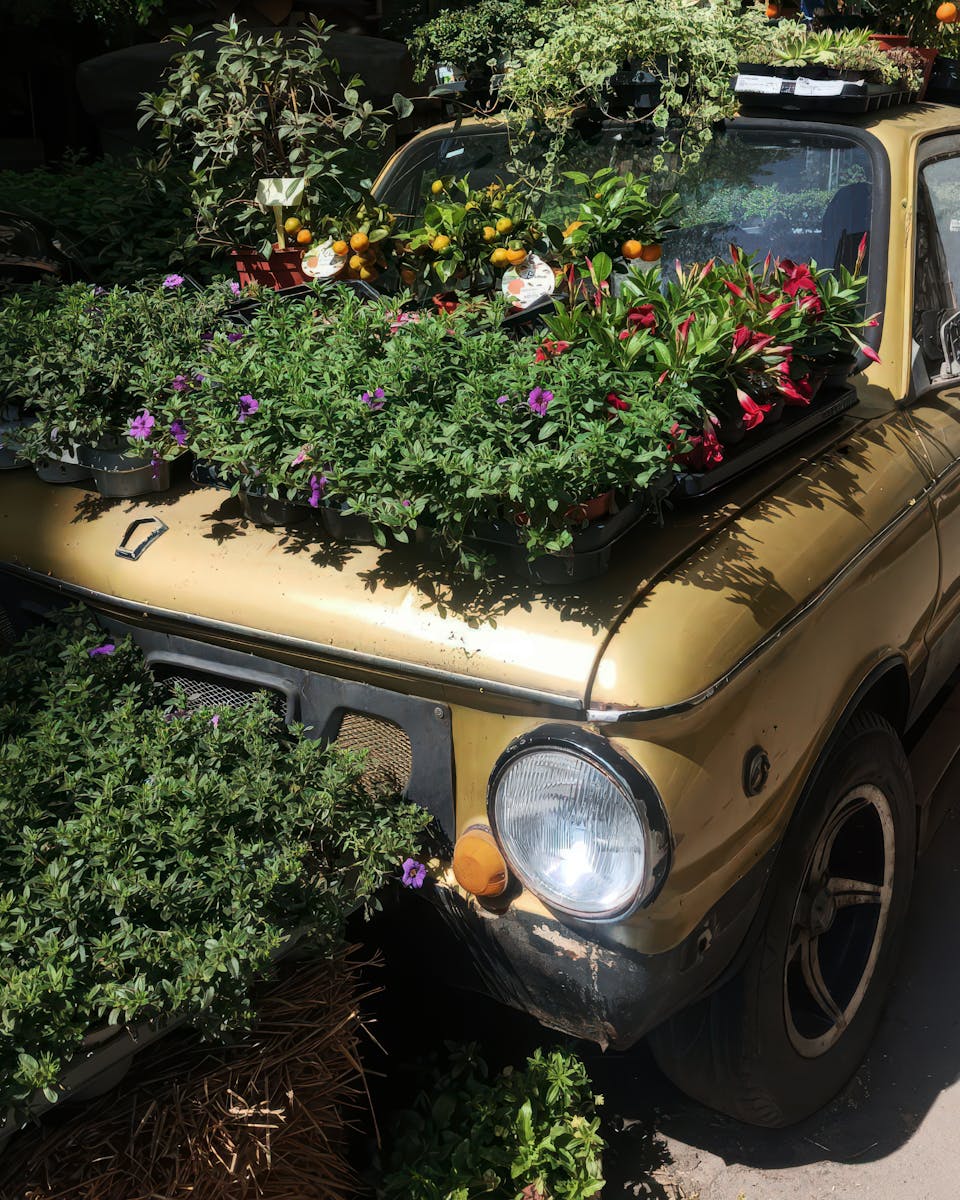 A vintage car adorned with lush plants and colorful flowers in a bright setting.